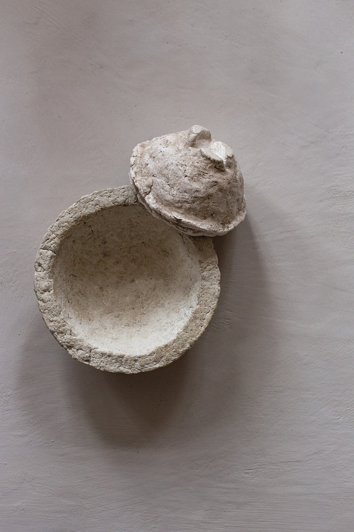 Avorio